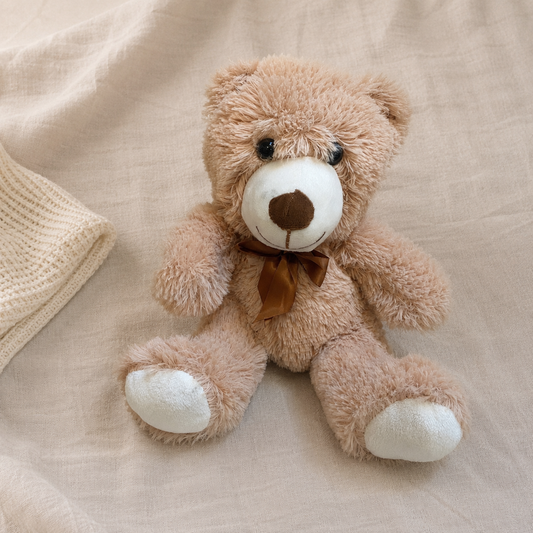Ours en peluche